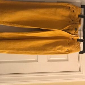 Ann Taylor Loft Skinny Jeans